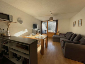 Charmant studio rénové à Chantemerle avec jardin, parking et WIFI, idéal pour 4 personnes - FR-1-330E-111